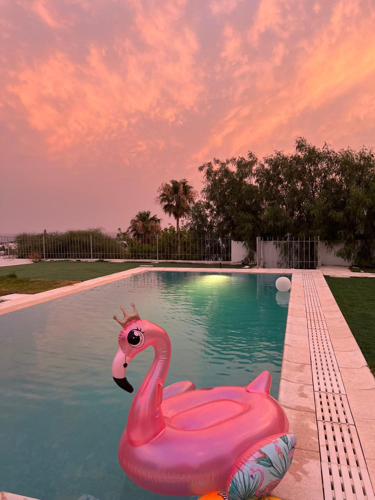 Chez Hayet Hotel Hammamet Exterior photo